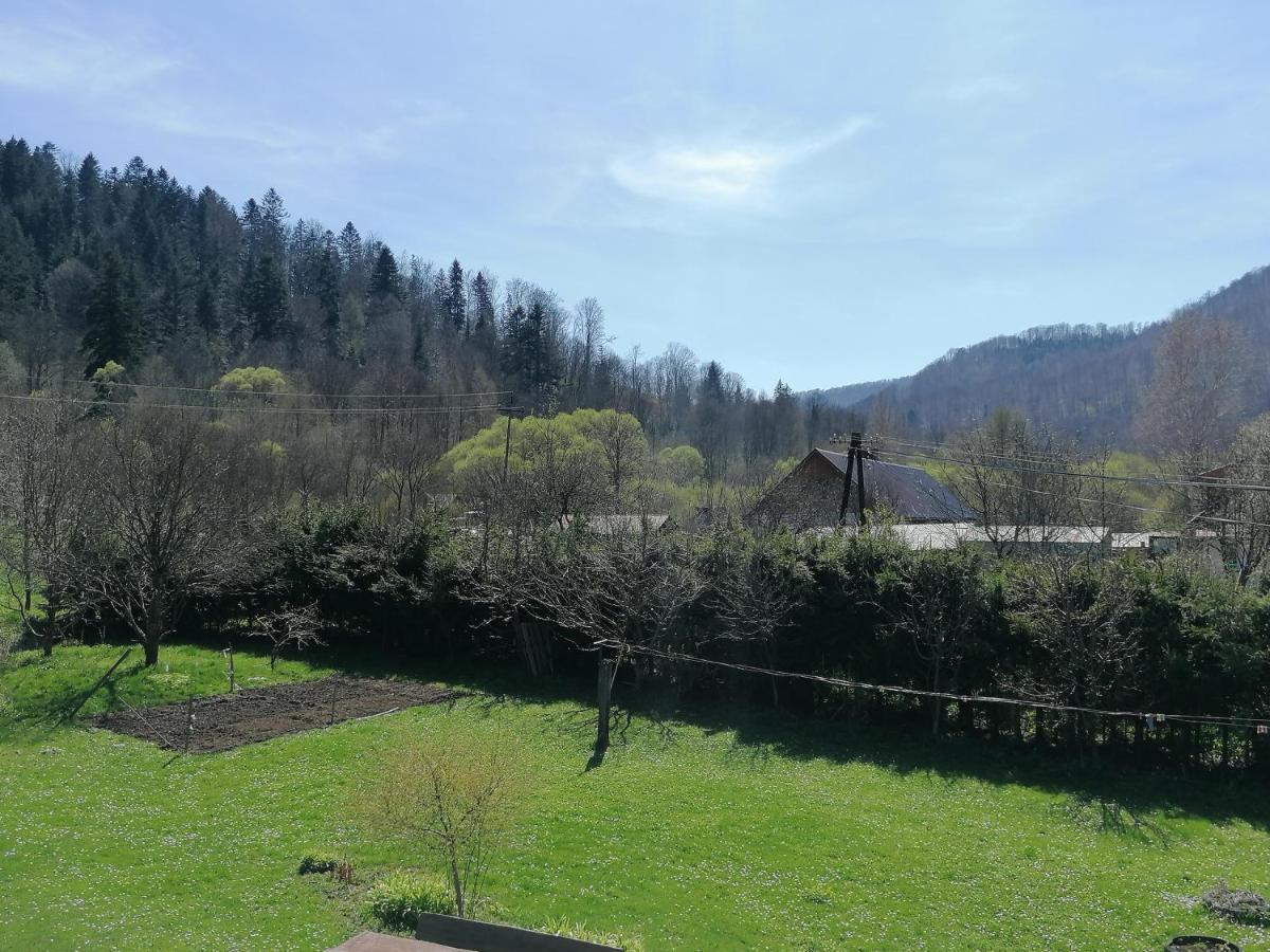 Agroturystyka pod kasztanem Lutowiska Zewnętrze zdjęcie