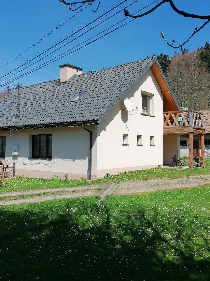 Agroturystyka pod kasztanem Lutowiska Zewnętrze zdjęcie
